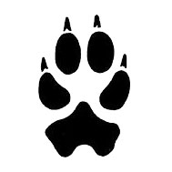Patte animal